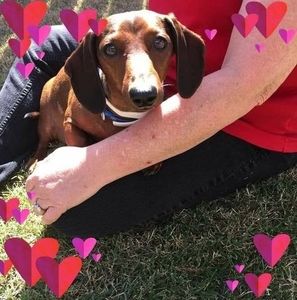 Meet your Posher, Patti